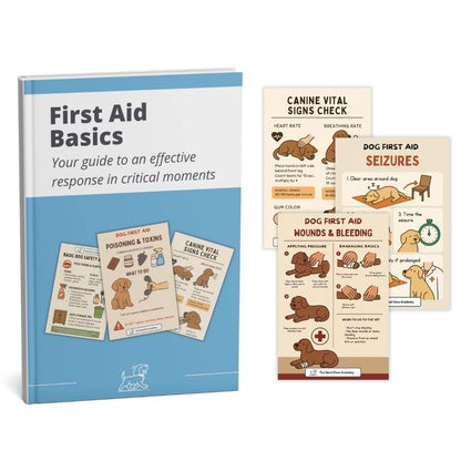 The Complete Good Paws Academy Bundle